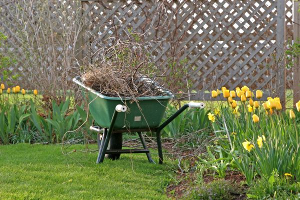 Flower Bed Cleanup Service in Tempe