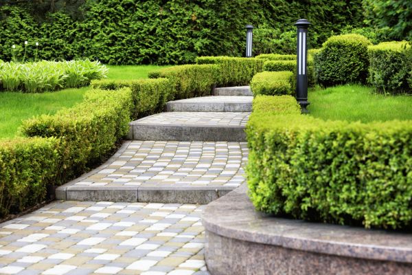 Backyard Remodeling in Tempe