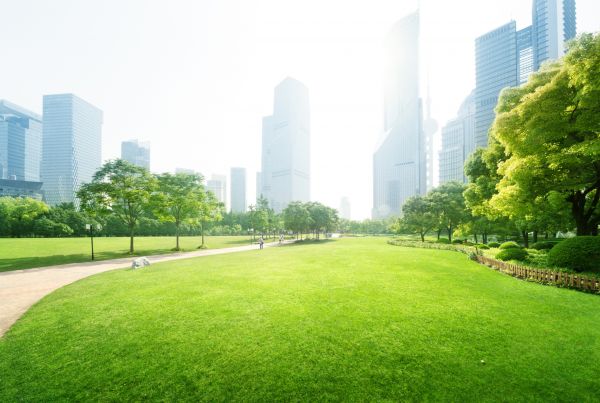 Commercial Landscape Maintenance in Tempe