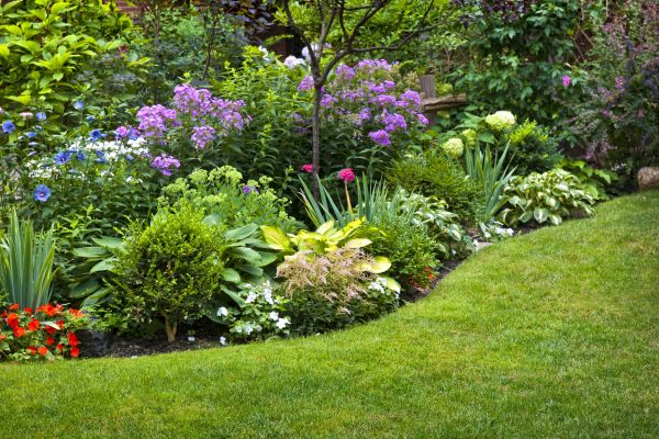 Flower Bed Service in Tempe