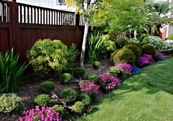 Garden Care Service in Tempe