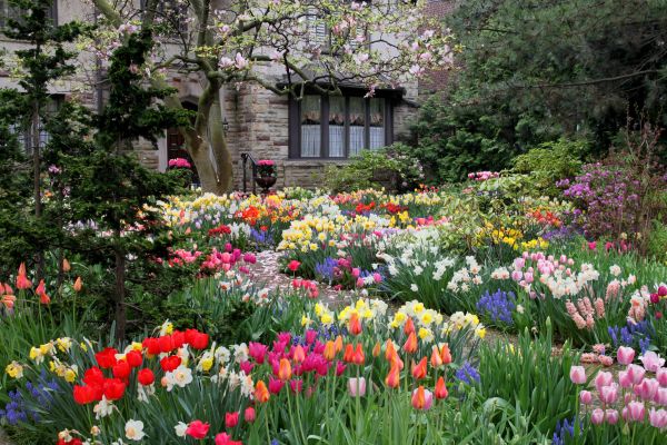 Garden Maintenance Service in Tempe