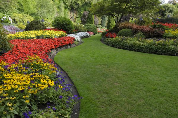 Landscaping Maintenance in Tempe