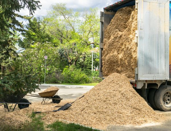 Wood Chips Delivery in Tempe