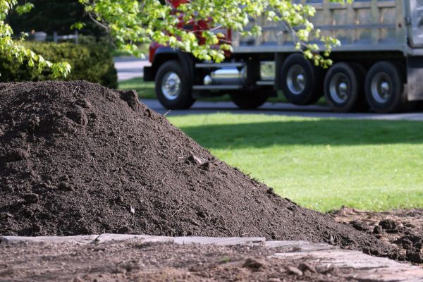 Yard Dirt Delivery in Tempe