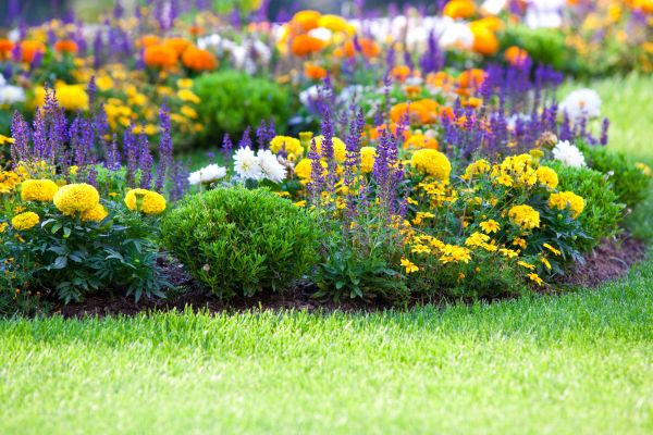 Garden Installation in Tempe