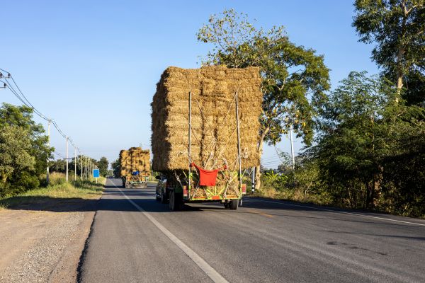 Pine Straw Delivery in Tempe