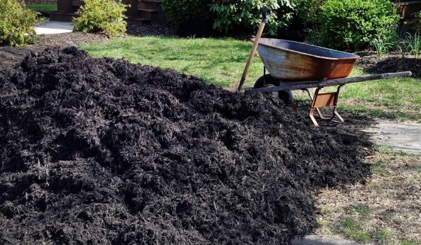 Black Mulch Delivery in Tempe