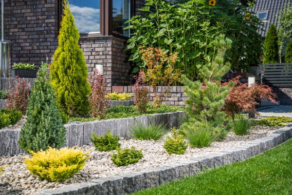 Landscape Construction Service in Tempe