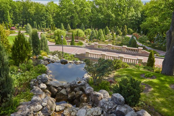Landscape Architecture Service in Tempe