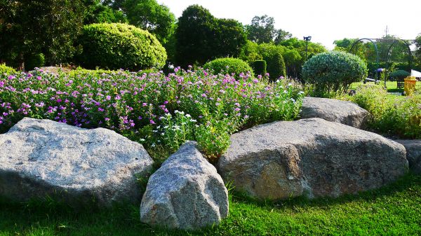 Boulder Landscaping in Tempe