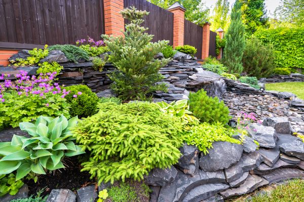 Landscape Remodeling in Tempe