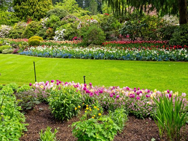 Residential Landscape Design in Tempe