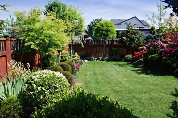 Lawn And Garden Installation in Tempe