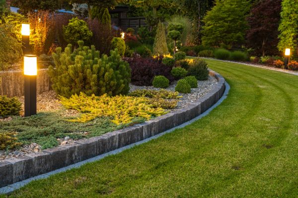 Garden Repair Service in Tempe