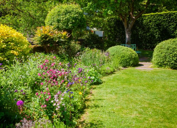 Yard Landscaping Service in Tempe