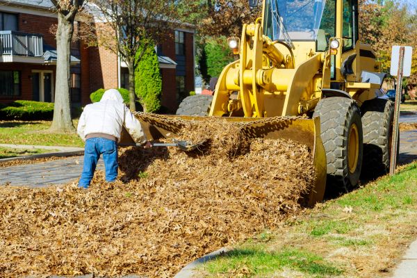 Mulch Hauling in Tempe