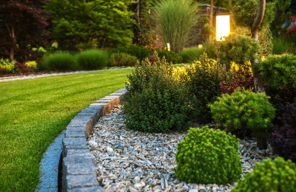 Landscaping Service in Tempe
