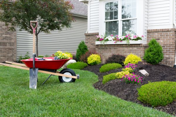 Tree And Shrub Planting in Tempe