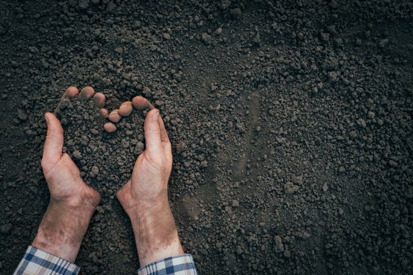 Soil Installation in Tempe