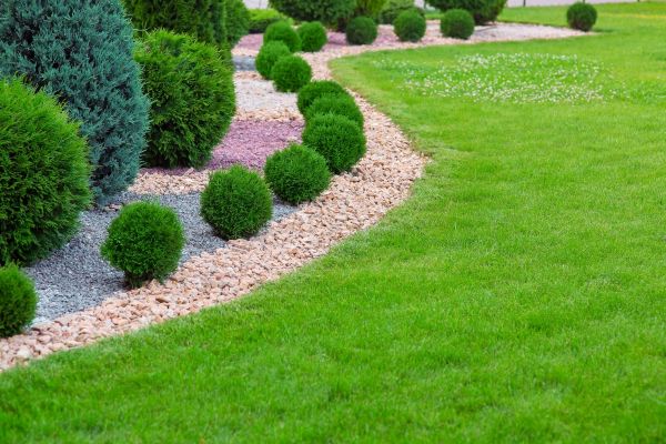 Edging Stones Installation in Tempe
