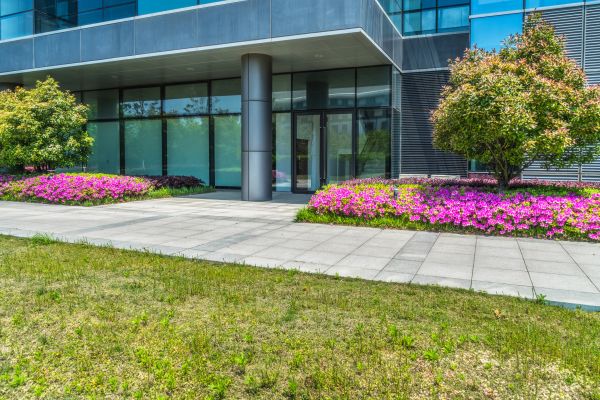 Commercial Gardening in Tempe