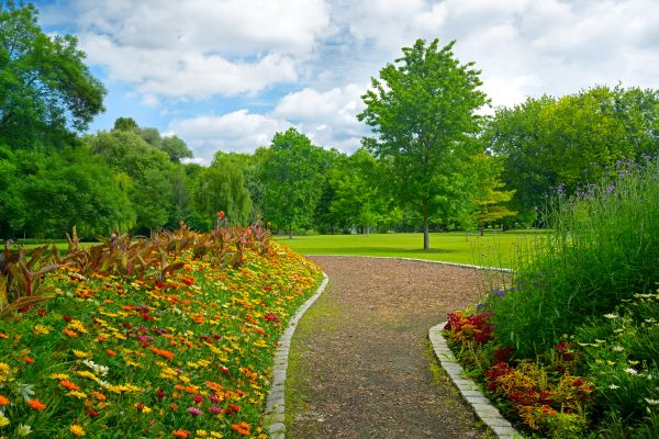 Park Landscaping in Tempe