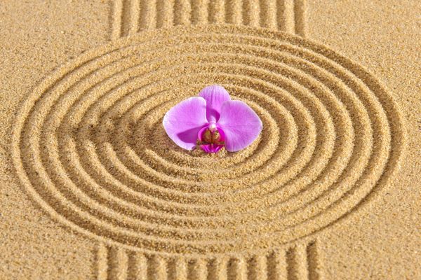 Sand Garden Landscaping in Tempe
