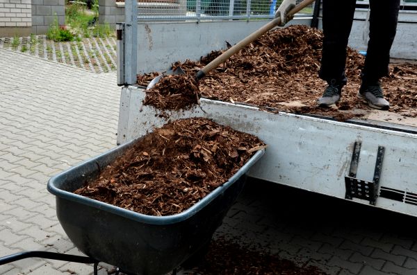Cypress Mulch Delivery in Tempe