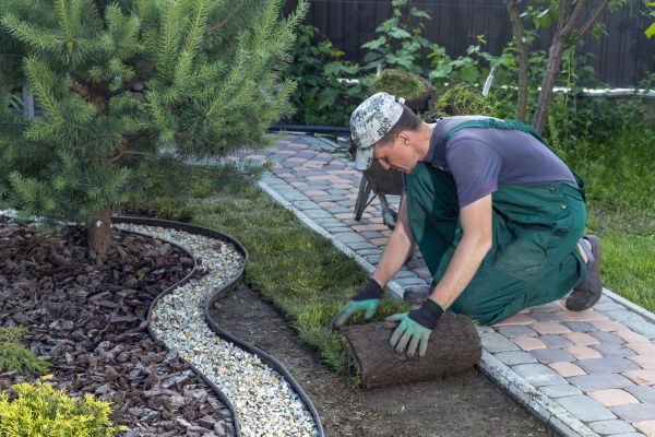 Landscaping Modification in Tempe