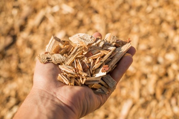 Wood Chips Spreading in Tempe