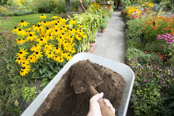 Topsoil Replacement in Tempe
