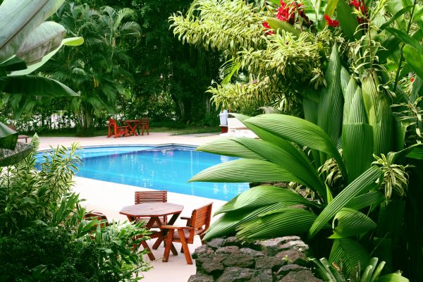 Pool Area Landscaping in Tempe