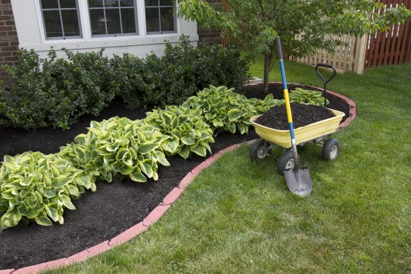 Landscape Mulching in Tempe