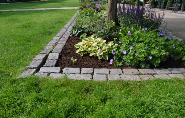 Flower Bed Mulching in Tempe
