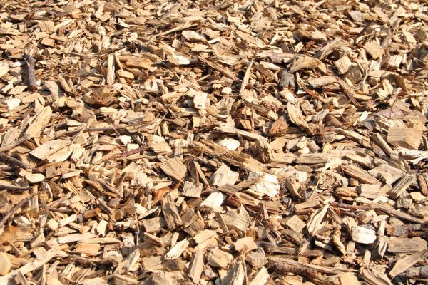 Wood Mulch Delivery in Tempe