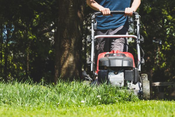 Garden Trimming Service in Tempe
