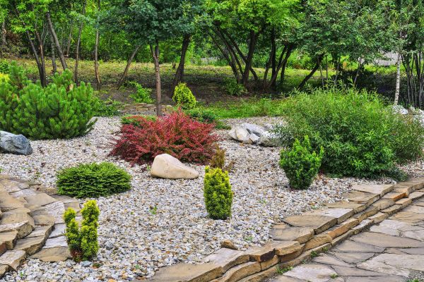 Hardscape Landscaping in Tempe