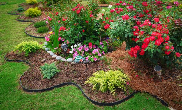 Floral Landscaping in Tempe