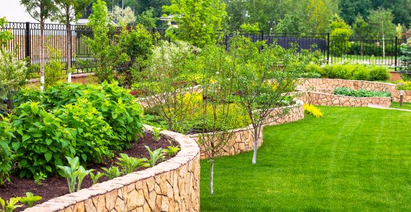 Yard Makeover Service in Tempe