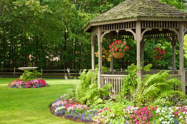 Backyard Landscaping Service in Tempe