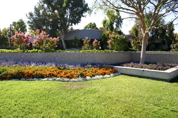 Commercial Landscape Service in Tempe