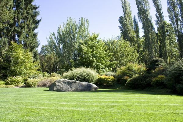 Yard Enlargement in Tempe