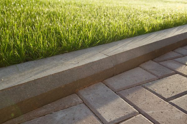 Lawn Edging Replacement in Tempe