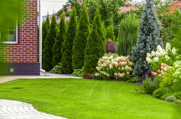 Spring Landscaping in Tempe