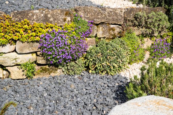 Landscaping Rocks Installation in Tempe