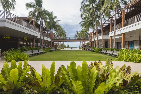Commercial Lawn Renovation in Tempe