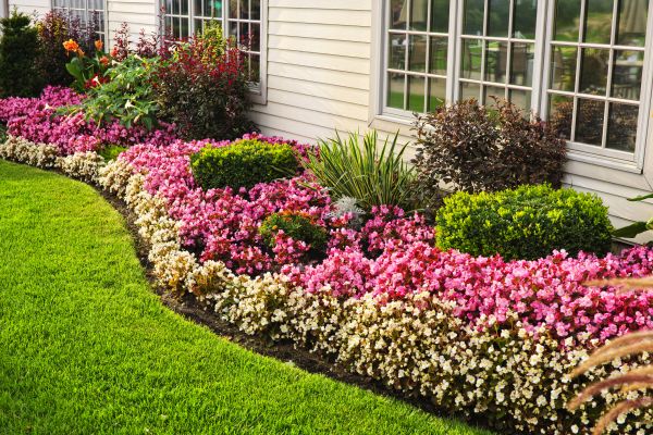 Garden Landscape Design in Tempe