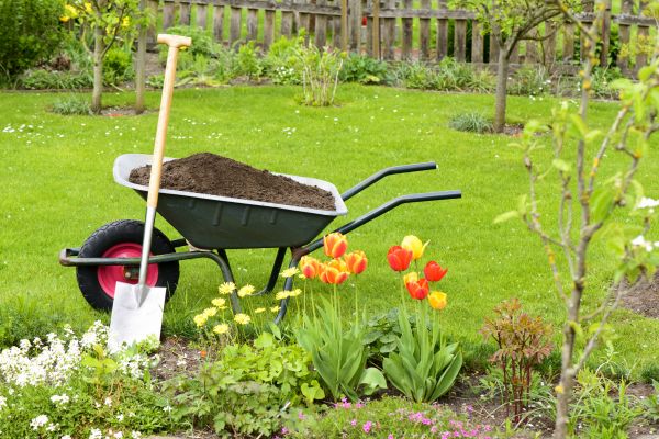 Spring Yard Renovation in Tempe