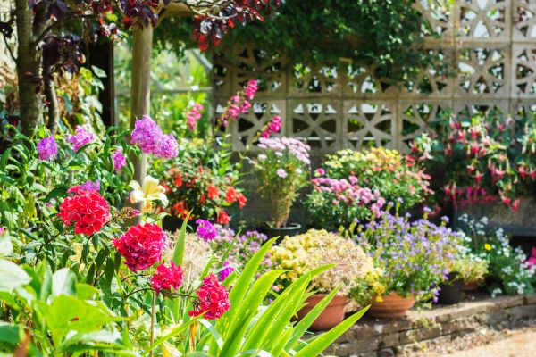Spring Garden Maintenance in Tempe